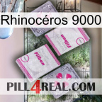 Rhinocéros 9000 33